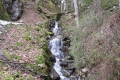 IMG_2221