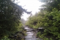 20140530_105445