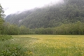 20140530_201818