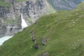 IMG_3032