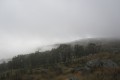 img_3675