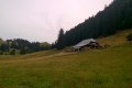 wp_20150726_002