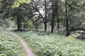 20170604_144820
