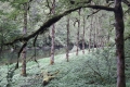 20170604_145258