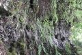 20170604_150002
