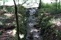 20170604_153947
