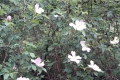 20170605_105913