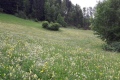 20170605_115232