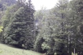 20170605_120305