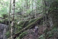 20170605_133730