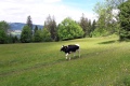 20170605_143348