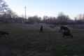 20171223_163036
