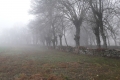20171225_160614