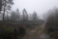 20171225_162740