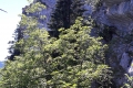 20170716_151900