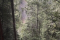 20170731_113130