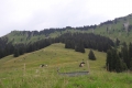 20170731_130431