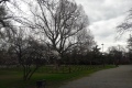 20180331_112309