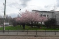 20180331_135918