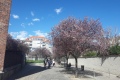 20180401_154804