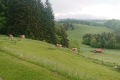 2020-05-23-20h29m25