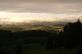 2020-05-23-20h36m57