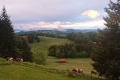 2020-05-23-21h00m25