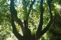 2020-07-19-11h34m59