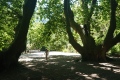 2020-07-19-11h35m09