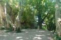 2020-07-19-11h35m13
