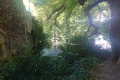 2020-07-19-11h47m28