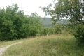 2020-07-22-12h02m55