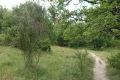 2020-07-22-12h04m28