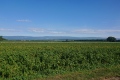 2020-07-29-10h06m12