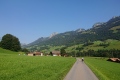 2020-07-30-09h51m34