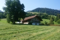 2020-07-30-10h10m57