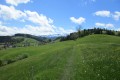 IMG_5835