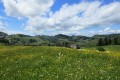 IMG_5837