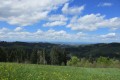 IMG_5846