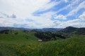 IMG_5856