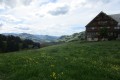 IMG_5859