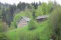 IMG_5863