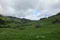 IMG_5870