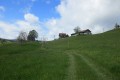 IMG_5875