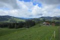 IMG_5877