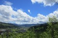 IMG_5882
