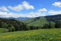 IMG_5892