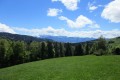 IMG_5895