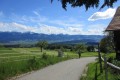 IMG_5898
