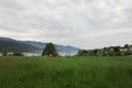 IMG_5907